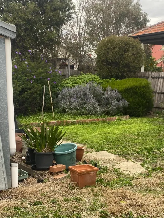 Garden after