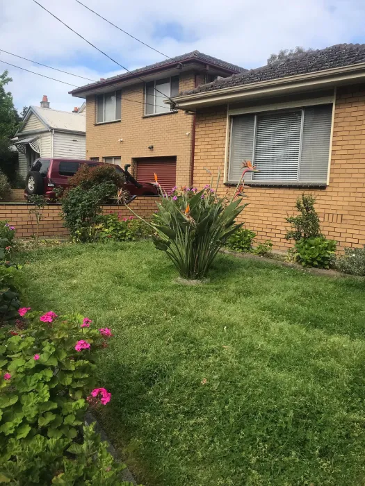 Garden before